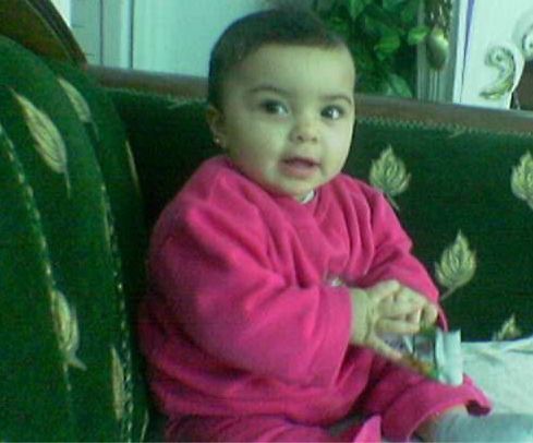 Haidy memory 1