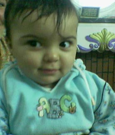 Haidy memory 2